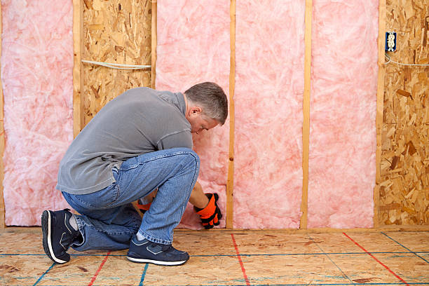 Best Insulation Maintenance and Repair in Montrose, VA